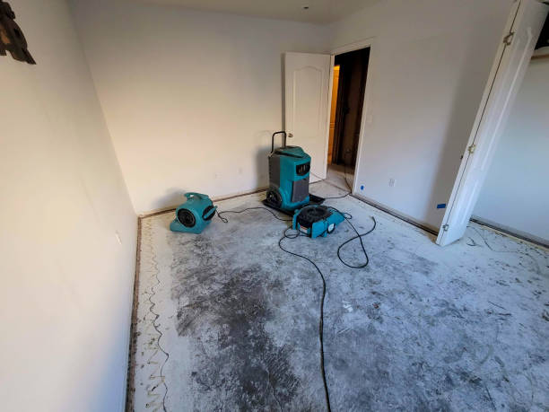 Best Flood damage cleanup  in Redgranite, WI