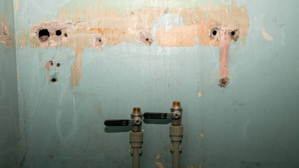 Best Flooded house restoration  in Redgranite, WI
