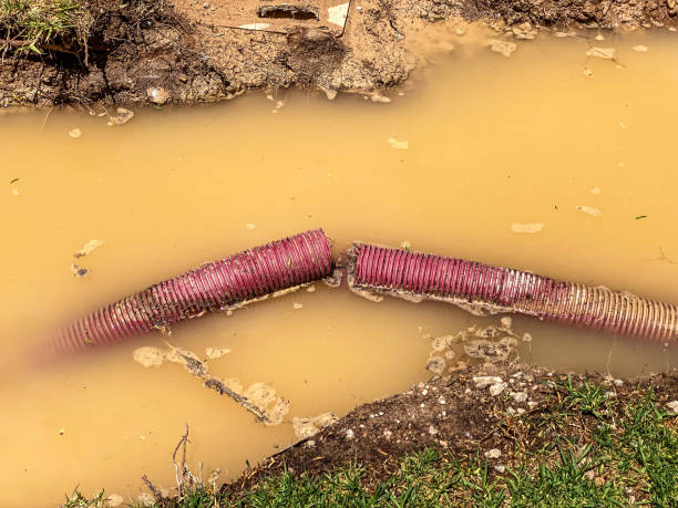Best Water damage restoration specialists  in Redgranite, WI